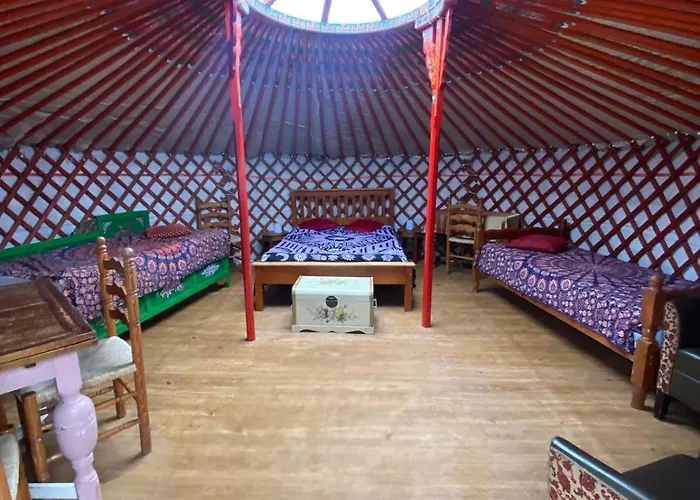 Hillfort Camping And Yurts